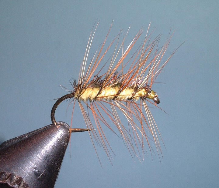 bennett blue crackleback