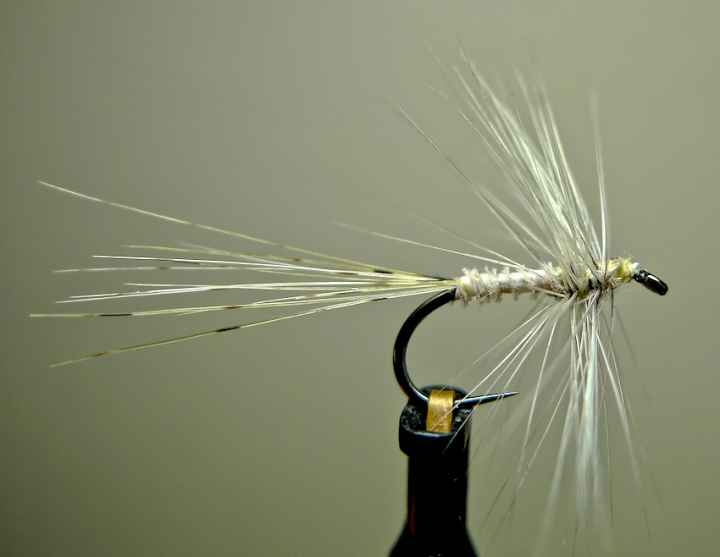 Favorite dry fly hook.  The North American Fly Fishing Forum