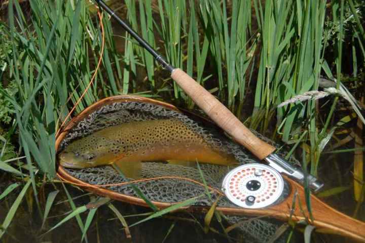 Hardy uniqua rod  The North American Fly Fishing Forum - sponsored by  Thomas Turner