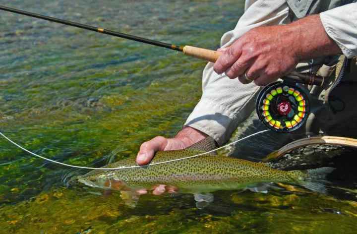 The real weight of the Nautilus FWX 5/6?  The North American Fly Fishing  Forum - sponsored by Thomas Turner