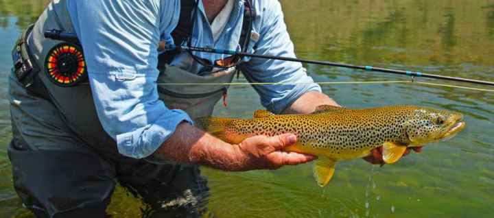 Abel Super 3N?  The North American Fly Fishing Forum - sponsored