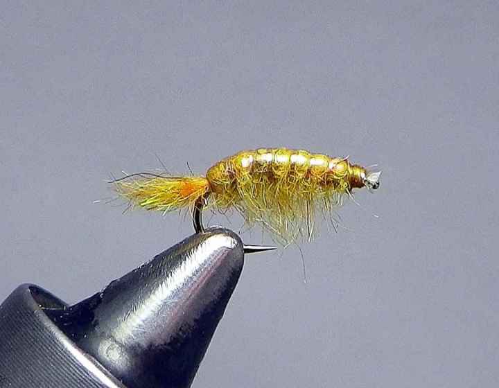 Favorite Scud Pattern  The North American Fly Fishing Forum