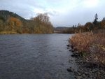 IMG_20201107_144049780.jpg
