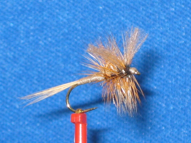 How to tell the difference between a wet and dry fly in your box